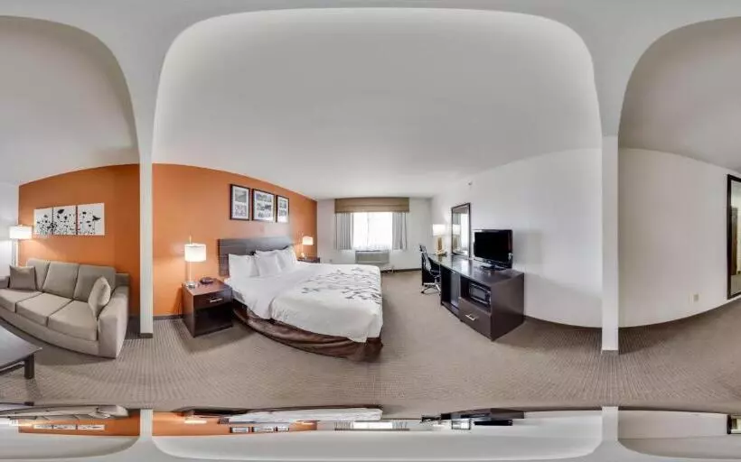 身障者適用キングサイズベッドルーム, Sleep Inn