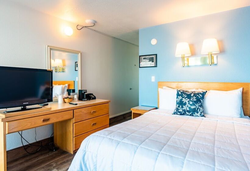 带大床的标准间, Seagull Beachfront Inn