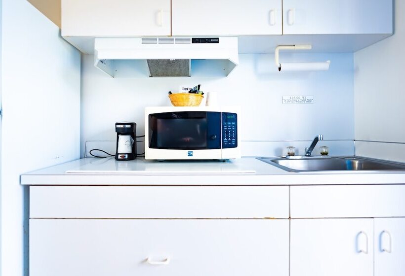 带特大床的标准间, Seagull Beachfront Inn