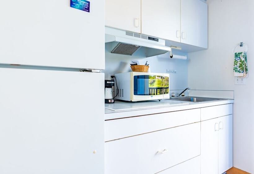 带特大床的标准间, Seagull Beachfront Inn