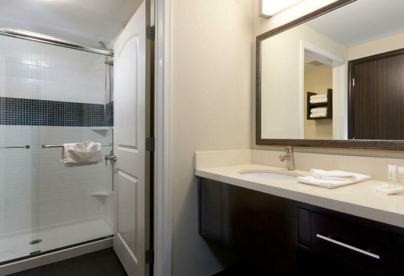 带大床的套房, Staybridge Suites Buffalo Amherst, An Ihg