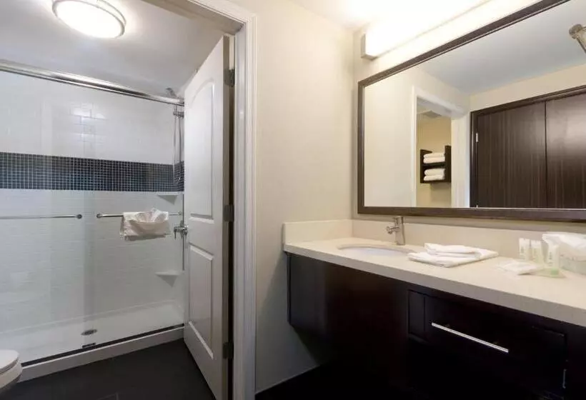 身障者適用スイートルーム, Staybridge Suites Buffalo Amherst, An Ihg