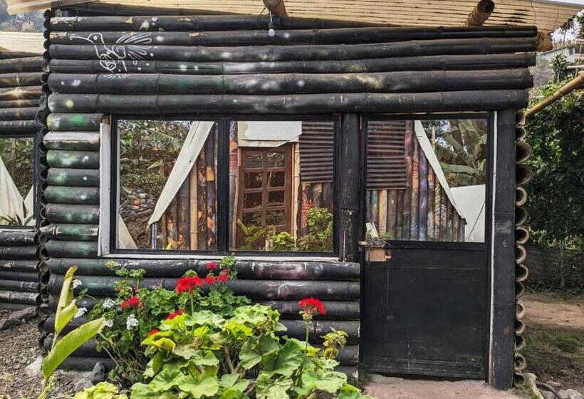 اتاق اکونومی, Gran Colibrí Adventure Park