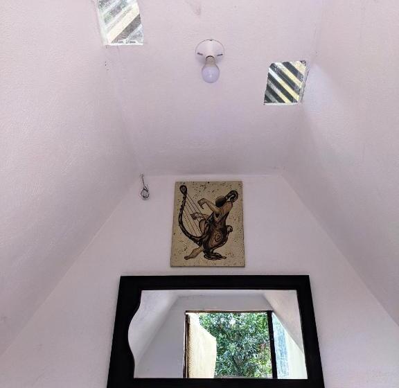 اتاق عادی یک تخته, Gran Colibrí Adventure Park