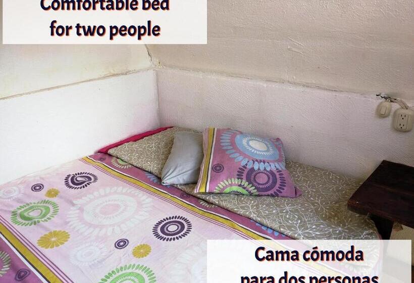 اتاق عادی, Gran Colibrí Adventure Park