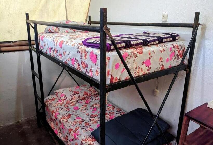 تختخواب در اتاق مشترک, Gran Colibrí Adventure Park