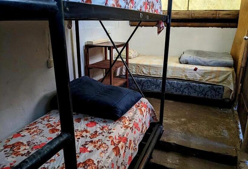 تختخواب در اتاق مشترک, Gran Colibrí Adventure Park