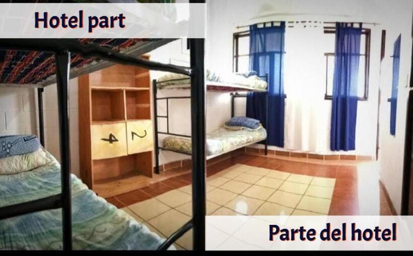 تختخواب در اتاق مشترک, Gran Colibrí Adventure Park