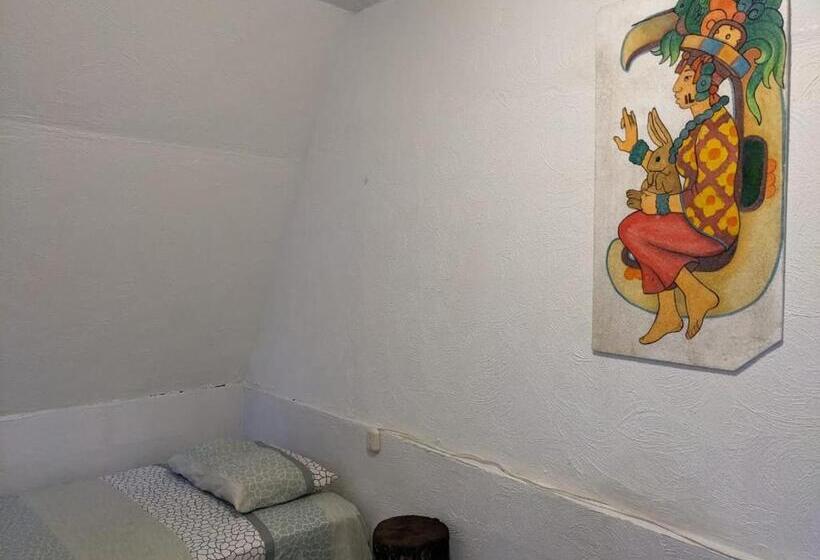 اتاق عادی, Gran Colibrí Adventure Park