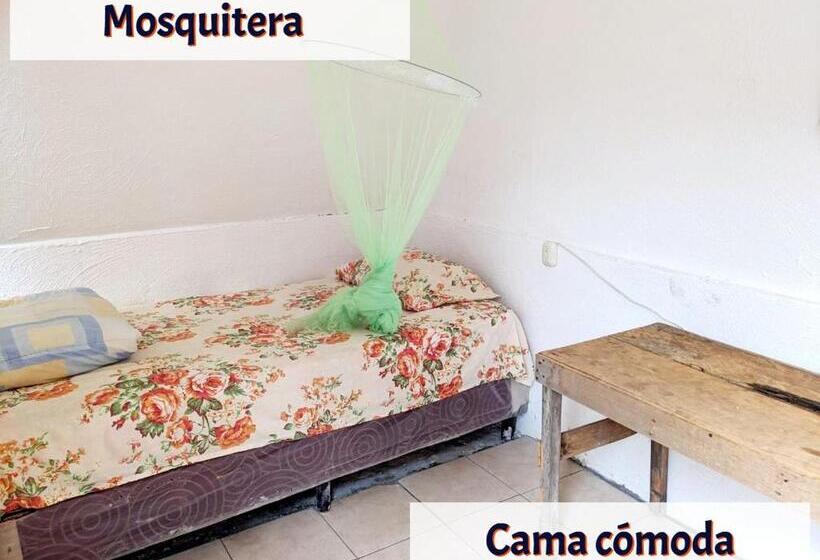 اتاق عادی, Gran Colibrí Adventure Park