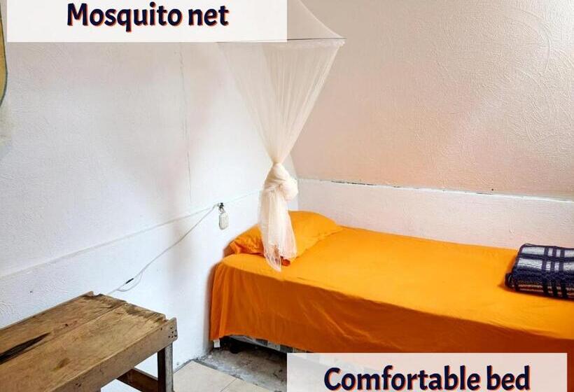 اتاق عادی, Gran Colibrí Adventure Park