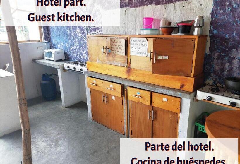 تختخواب در اتاق مشترک, Gran Colibrí Adventure Park