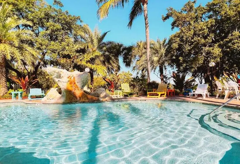スタンダードインサイドビュールーム, The Ocean View Inn