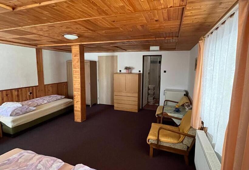 Четырехместный Номер Стандарт, Ubytování 113