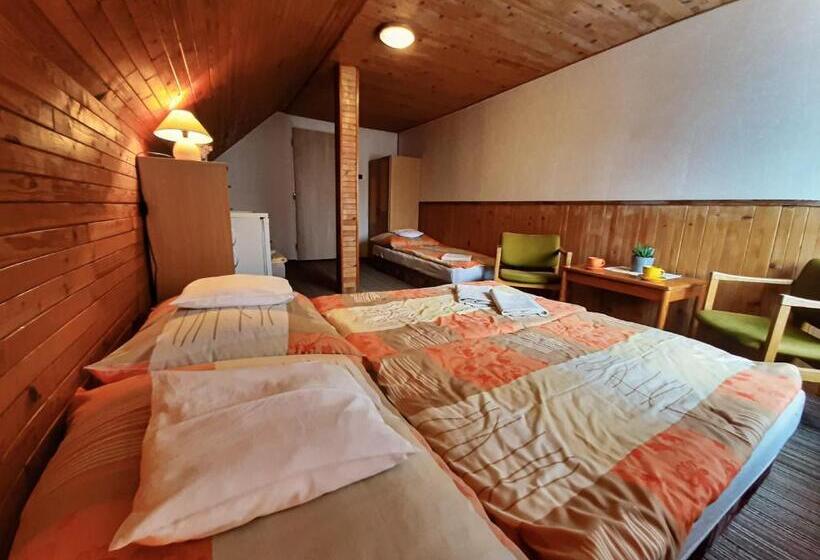 Четырехместный Номер Стандарт, Ubytování 113