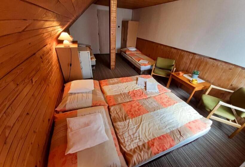 Четырехместный Номер Стандарт, Ubytování 113