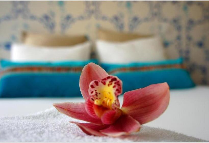 חדר סטנדרט חדר אמבטיה משותף, Hostel Gaia Porto