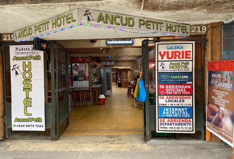اتاق استاندارد سه نفره, Ancud Petit Hostal