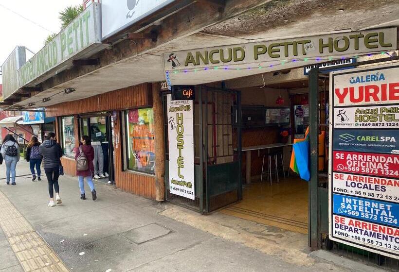 اتاق استاندارد سه نفره, Ancud Petit Hostal