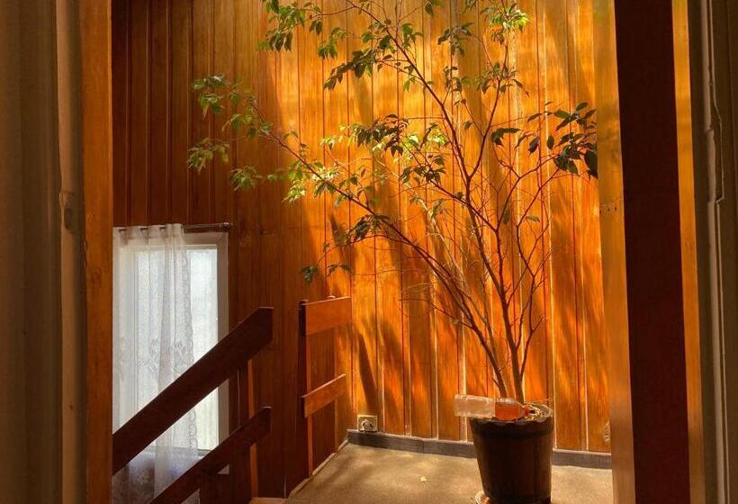 اتاق استاندارد چهار تخته, Ancud Petit Hostal