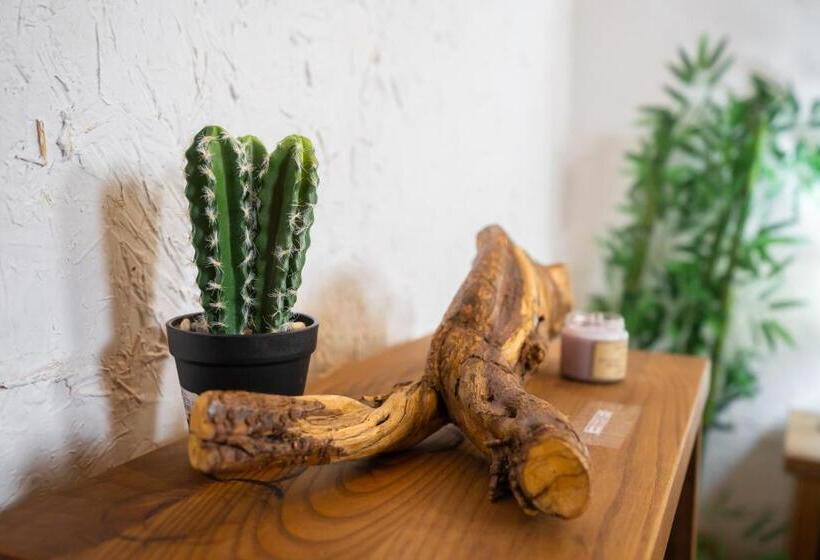 高级大房间, Don Raul