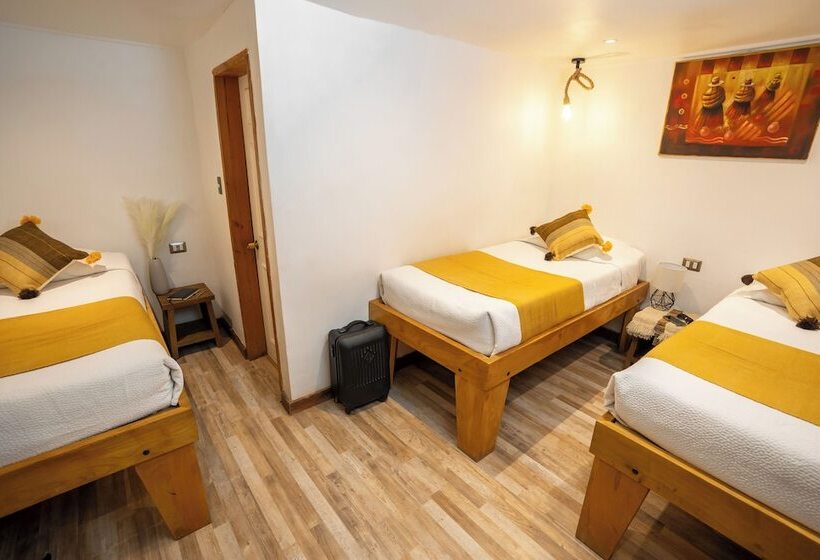 标准三人间, Don Raul