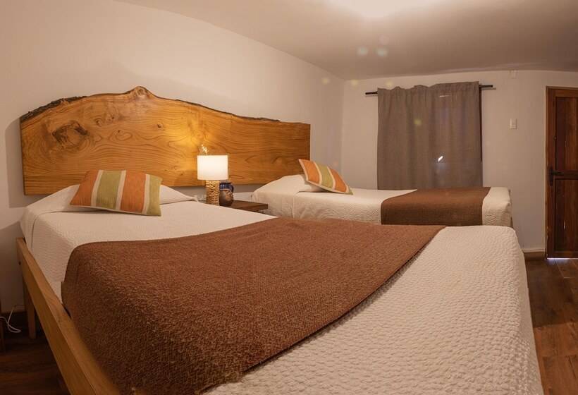 高级大房间, Don Raul