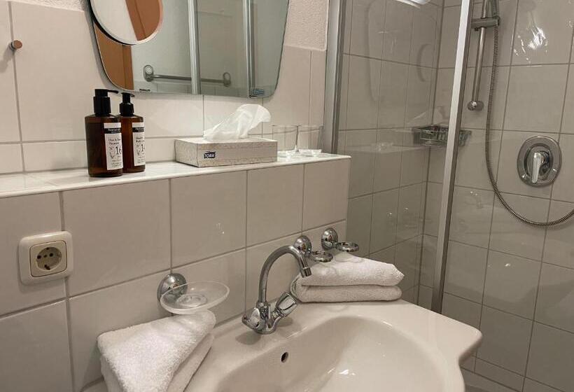 古典房间, Posthotel Lechtal