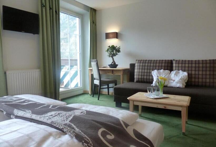 舒适型房间, Posthotel Lechtal