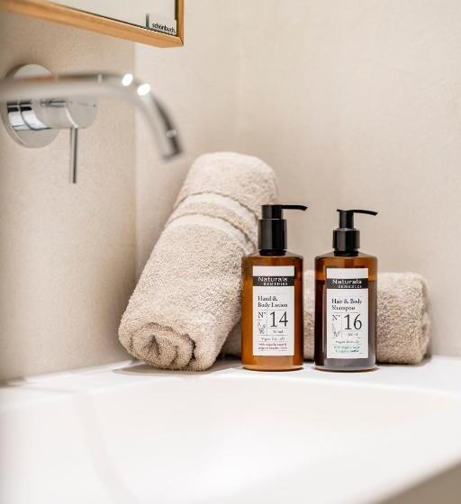 带阳台的豪华间, Posthotel Lechtal