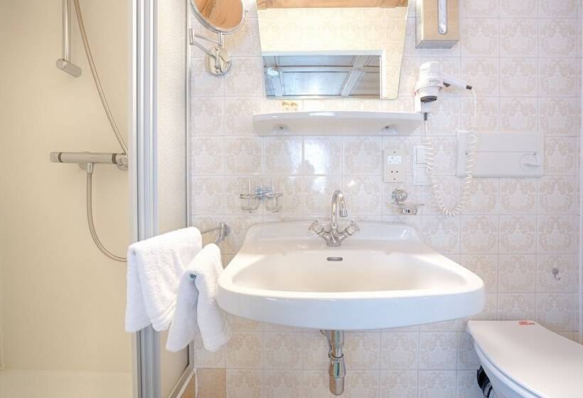 غرفة قياسية, Walch S Camping & Landhaus