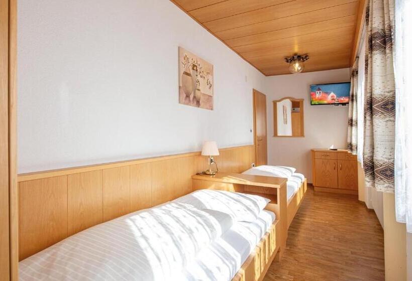 شقة غرفة واحدة مزودة بتراس, Mountain Residence Alpenhof   Company Hotel Alpenhof Kg Sas Der Gasser Renate