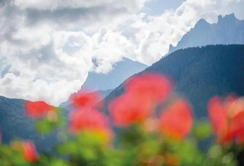 Standard-huone Vuoristonäkymä, Mountain Residence Alpenhof   Company Hotel Alpenhof Kg Sas Der Gasser Renate