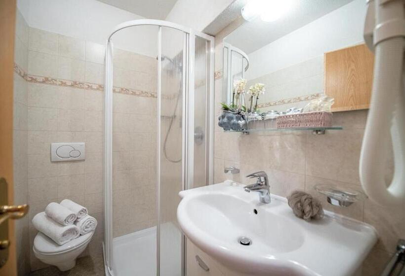 غرفة قياسية مطلة على الجبل, Mountain Residence Alpenhof   Company Hotel Alpenhof Kg Sas Der Gasser Renate