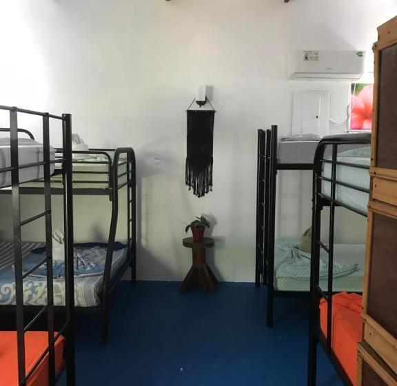 سرير فى غرفة مشتركه, Luminosa Uvita Hostel
