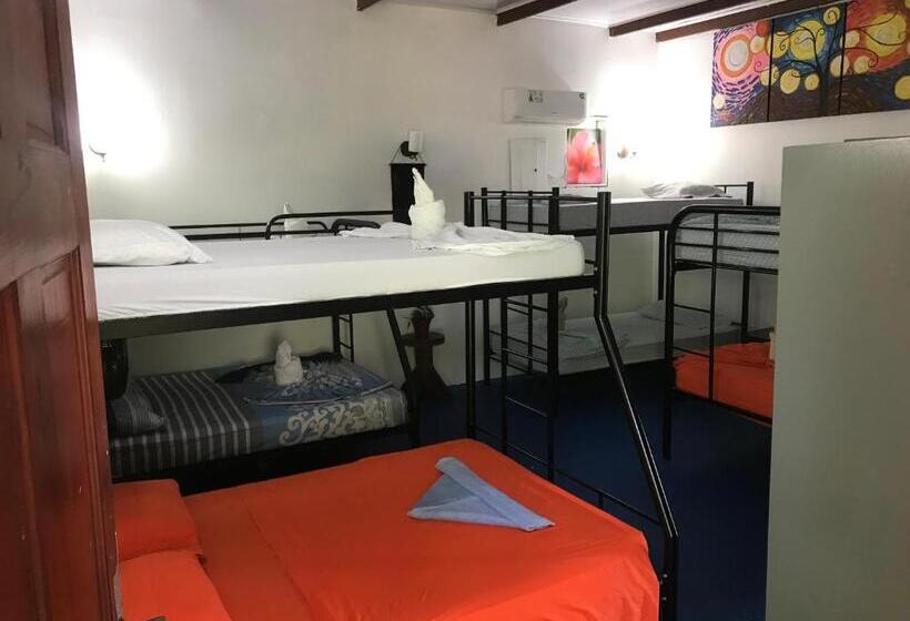 공동 객실, Luminosa Uvita Hostel