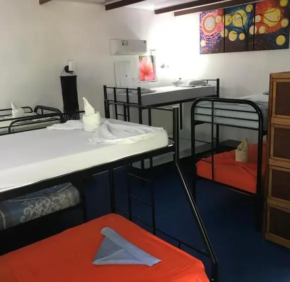 ルームシェアのワンベッド, Luminosa Uvita Hostel