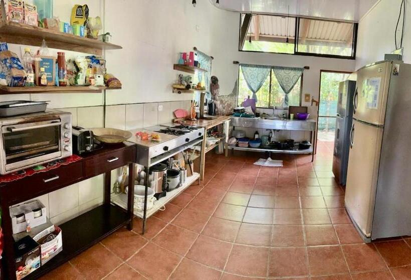 공동 객실, Luminosa Uvita Hostel