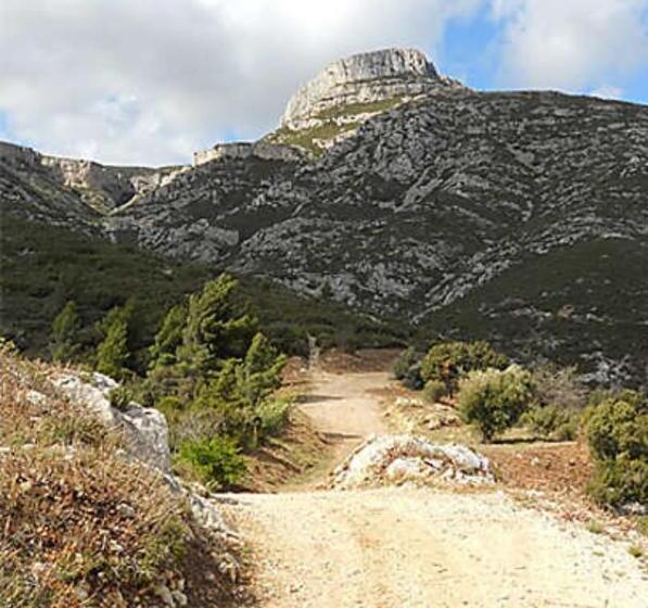 חדר סטנדרט נוף לגינה, Mon Coin De Provence Petit Déjeuner Offert