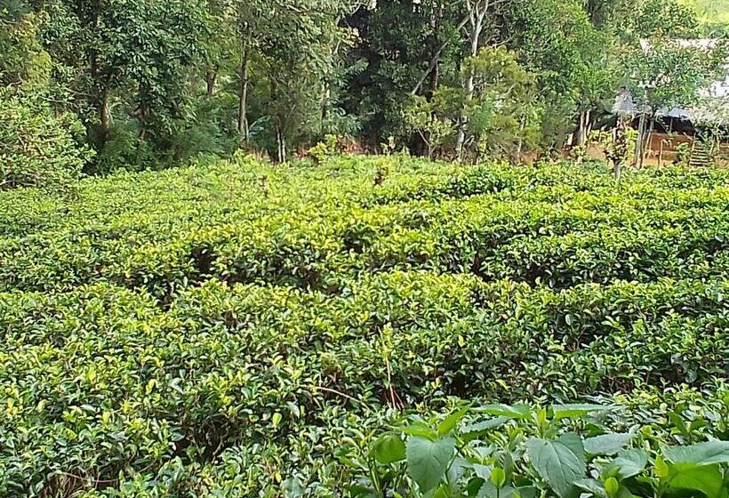 スタンダードルーム, Talblick Homestay Ella