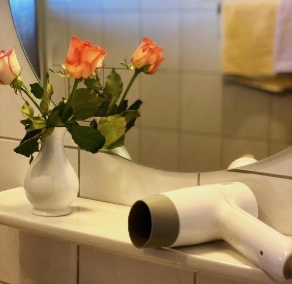 חדר סטנדרט יחיד, Pension Heidelberg   Fam Fuchs