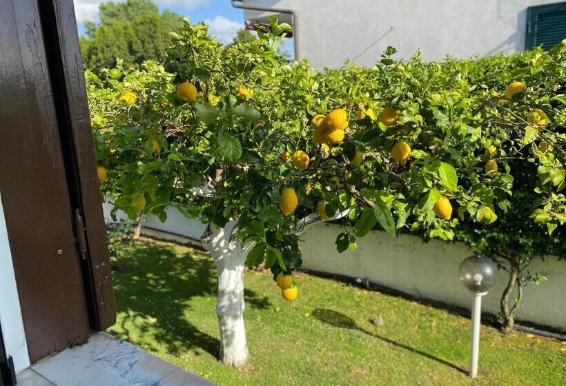 Номер Стандарт, Villa Cecilia Bed And Breakfast