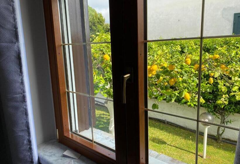 Номер Стандарт, Villa Cecilia Bed And Breakfast