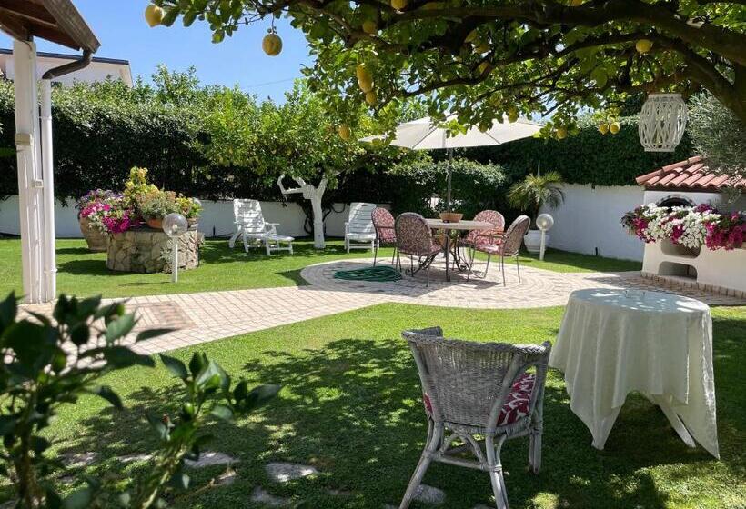 Номер Стандарт с Террасой, Villa Cecilia Bed And Breakfast