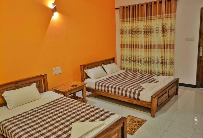 스탠다드 룸, Yoma Wild