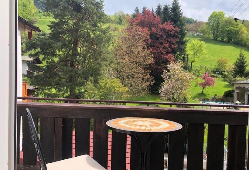 דירה בת חדר שינה 1 עם נוף, Pension Und Ferienwohnung Frech