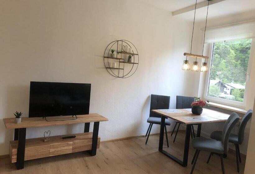 דירה בת חדר שינה 1 עם נוף, Pension Und Ferienwohnung Frech