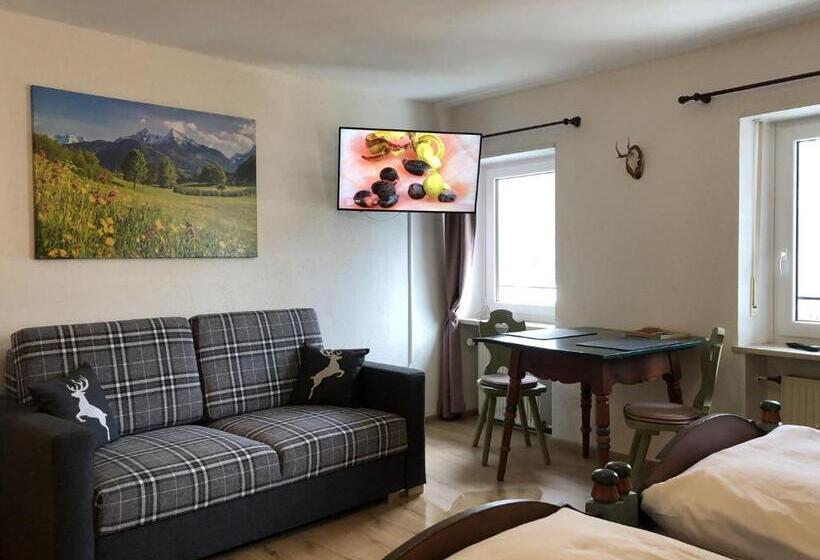 סטודיו משפחתי, Pension Und Ferienwohnung Frech