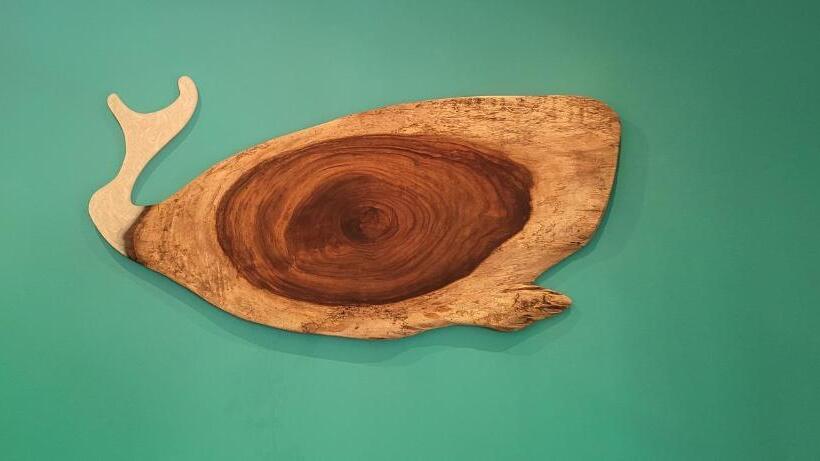 דירת חדר נוף לגינה, Cabinas Corazon