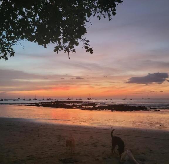 דירת חדר נוף לגינה, Cabinas Corazon